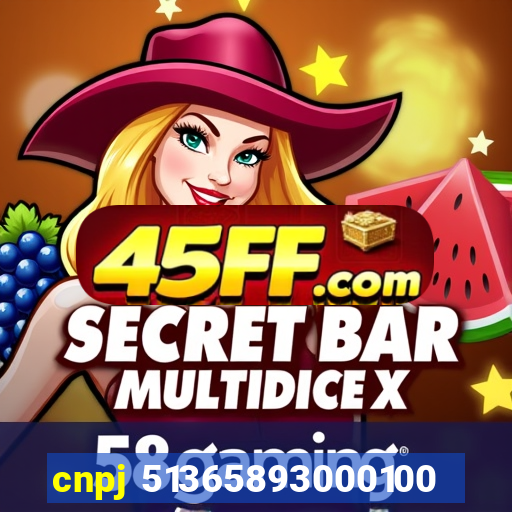 cnpj 51365893000100